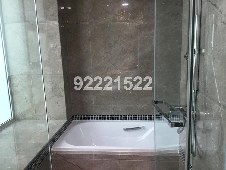 The Vision (D5), Condominium #105561152
